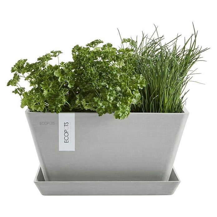 Ecopots Berlin Pflanzschale eckig (Außenmaß (L x B x H): 31 x 31 x 15,5 cm, Kunststoff, Weiß Grau) | BAUHAUS