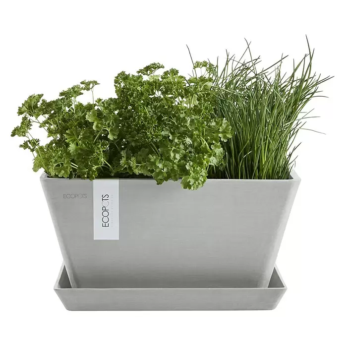 Ecopots Berlin Pflanzschale eckig - Außenmaß (L x B x H): 31,2 x 31,2 x 15,7 cm, Kunststoff, Weiß Grau - Hellgrauer rechteckiger ECOPOTS Pflanztopf mit Untersetzer, gefüllt mit frischer Petersilie und Schnittlauch.