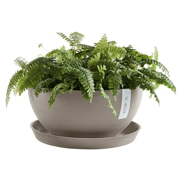 Ecopots Brussels Pflanzschale rund (Außenmaß (Ø x H): 35 x 16,7 cm, Kunststoff, Braungrau) | BAUHAUS