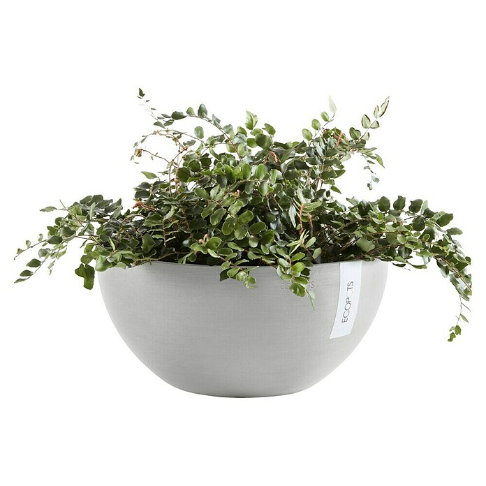 Ecopots Brussels Pflanzschale rund (Außenmaß (Ø x H): 30 x 14,8 cm, Kunststoff, Weiß Grau) | BAUHAUS