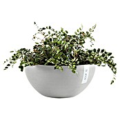 Ecopots Brussels Pflanzschale rund (Außenmaß (Ø x H): 30 x 14,8 cm, Kunststoff, Weiß Grau) | BAUHAUS
