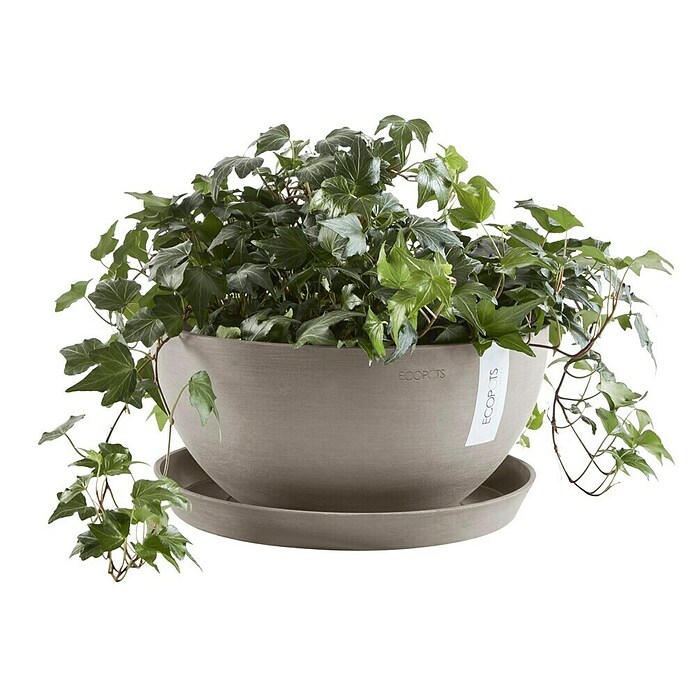 Ecopots Brussels Pflanzschale rund (Außenmaß (Ø x H): 35 x 16,7 cm, Kunststoff, Braungrau) | BAUHAUS