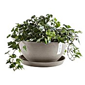 Ecopots Brussels Pflanzschale rund (Außenmaß (Ø x H): 35 x 16,7 cm, Kunststoff, Braungrau) | BAUHAUS