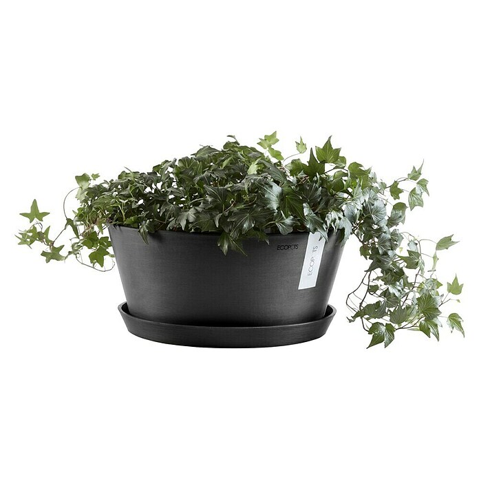 Ecopots Pflanzschale rund Frankfurt (Außenmaß (Ø x H): 50 x 25,7 cm, Kunststoff, Dunkelgrau) | BAUHAUS