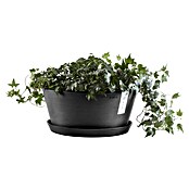 Ecopots Pflanzschale rund Frankfurt (Außenmaß (Ø x H): 50 x 25,7 cm, Kunststoff, Dunkelgrau) | BAUHAUS