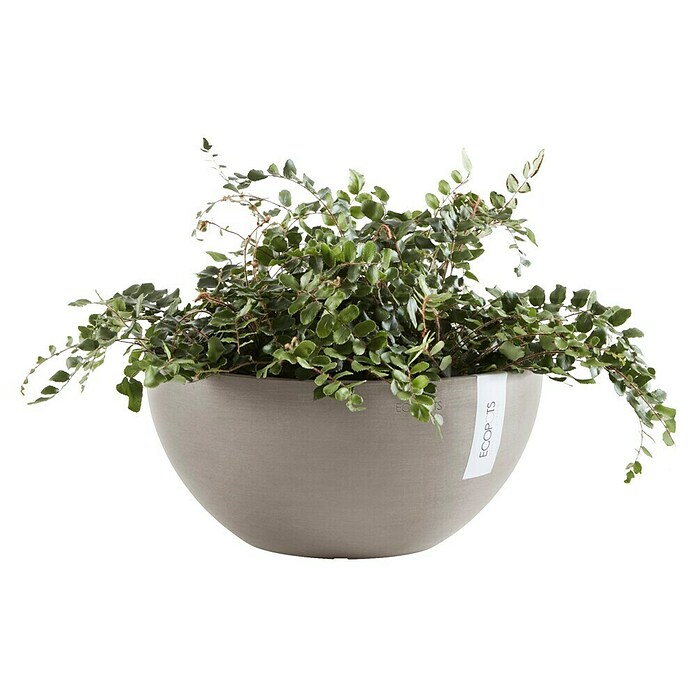 Ecopots Brussels Pflanzschale rund (Außenmaß (Ø x H): 35 x 16,7 cm, Kunststoff, Braungrau) | BAUHAUS