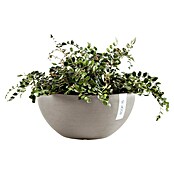 Ecopots Brussels Pflanzschale rund (Außenmaß (Ø x H): 35 x 16,7 cm, Kunststoff, Braungrau) | BAUHAUS