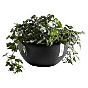 Ecopots Brussels Pflanzschale rund (Außenmaß (Ø x H): 35 x 16,7 cm, Kunststoff, Dunkelgrau) | BAUHAUS