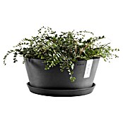 Ecopots Pflanzschale rund Frankfurt (Außenmaß (Ø x H): 50 x 25,7 cm, Kunststoff, Dunkelgrau) | BAUHAUS