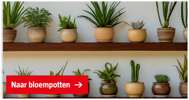 blompotten-in-stelling