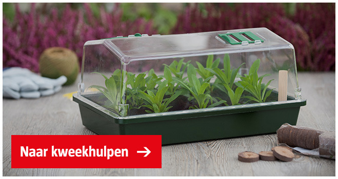 kweekkas-op-tafel