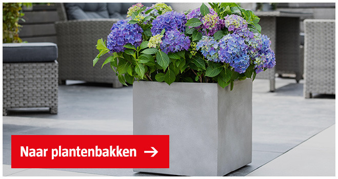 plantenbak-in-tuin