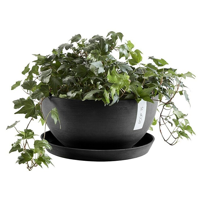 Ecopots Brussels Pflanzschale rund (Außenmaß (Ø x H): 35 x 16,7 cm, Kunststoff, Dunkelgrau) | BAUHAUS