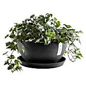 Ecopots Brussels Pflanzschale rund (Außenmaß (Ø x H): 35 x 16,7 cm, Kunststoff, Dunkelgrau) | BAUHAUS