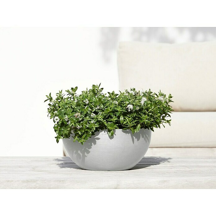 Ecopots Brussels Pflanzschale rund (Außenmaß (Ø x H): 30 x 14,8 cm, Kunststoff, Weiß Grau) | BAUHAUS