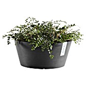Ecopots Pflanzschale rund Frankfurt (Außenmaß (Ø x H): 50 x 25,7 cm, Kunststoff, Dunkelgrau) | BAUHAUS