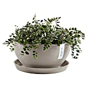 Ecopots Brussels Pflanzschale rund (Außenmaß (Ø x H): 35 x 16,7 cm, Kunststoff, Braungrau) | BAUHAUS