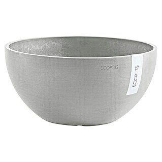 Ecopots Brussels Pflanzschale rund (Außenmaß (Ø x H): 30 x 14,8 cm, Kunststoff, Weiß Grau)