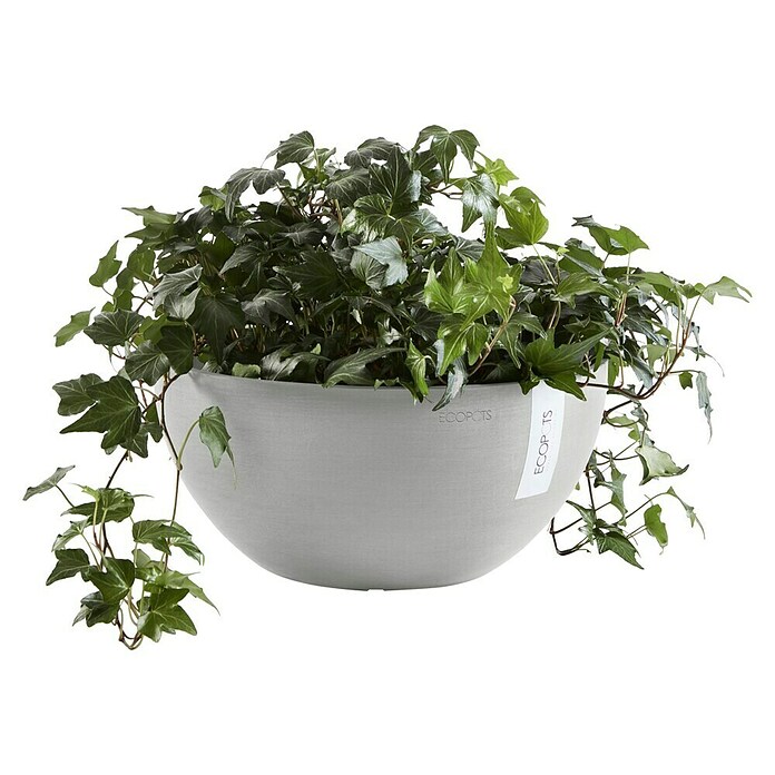 Ecopots Brussels Pflanzschale rund (Außenmaß (Ø x H): 30 x 14,8 cm, Kunststoff, Weiß Grau) | BAUHAUS