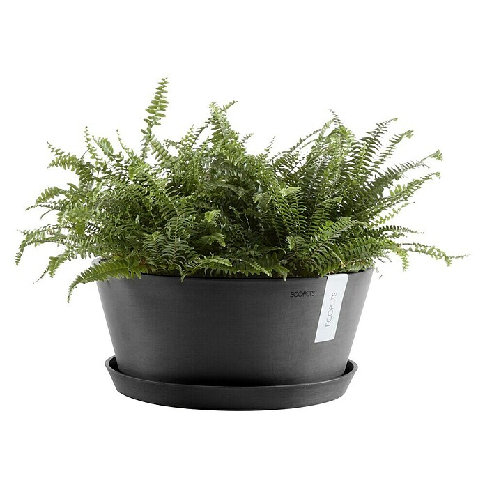 Ecopots Pflanzschale rund Frankfurt (Außenmaß (Ø x H): 50 x 25,7 cm, Kunststoff, Dunkelgrau) | BAUHAUS