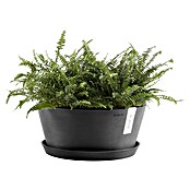 Ecopots Pflanzschale rund Frankfurt (Außenmaß (Ø x H): 50 x 25,7 cm, Kunststoff, Dunkelgrau) | BAUHAUS