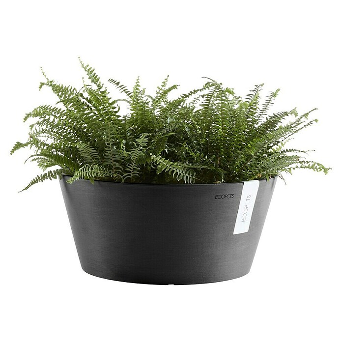 Ecopots Pflanzschale rund Frankfurt (Außenmaß (Ø x H): 50 x 25,7 cm, Kunststoff, Dunkelgrau) | BAUHAUS