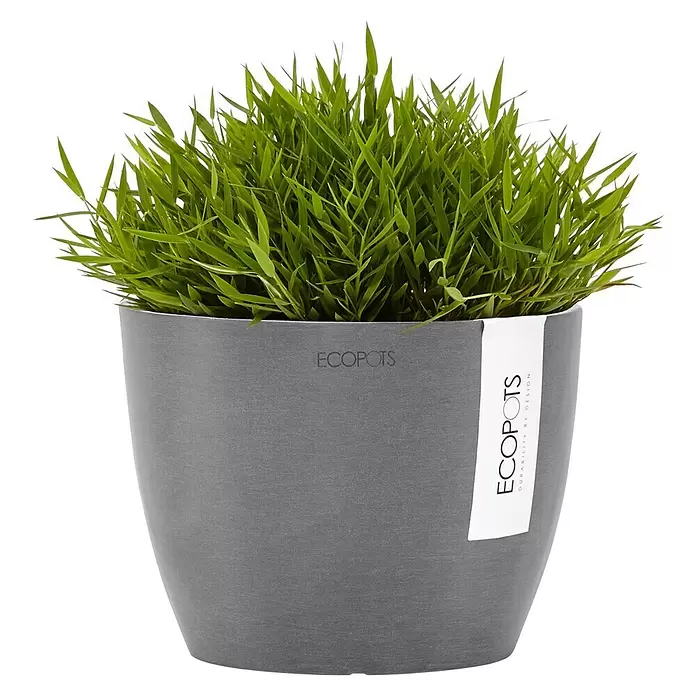 Ecopots Pflanztopf Stockholm - Außenmaß (Ø x H): 16,2 x 12 cm, Kunststoff, Grau - Grüne grasartige Pflanze in einem runden, strukturierten grauen ECOPOTS Pflanzgefäß mit weißem Etikett.
