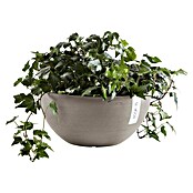 Ecopots Brussels Pflanzschale rund (Außenmaß (Ø x H): 35 x 16,7 cm, Kunststoff, Braungrau) | BAUHAUS