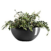 Ecopots Brussels Pflanzschale rund (Außenmaß (Ø x H): 35 x 16,7 cm, Kunststoff, Dunkelgrau) | BAUHAUS