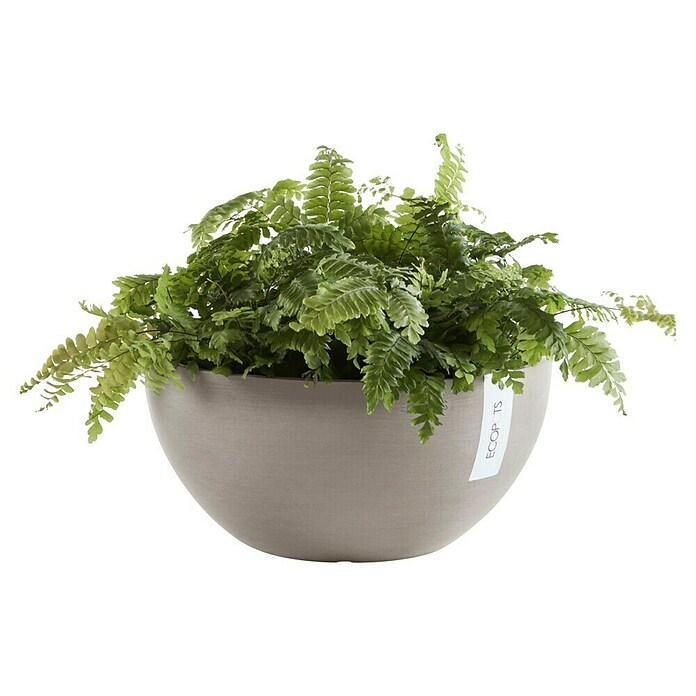 Ecopots Brussels Pflanzschale rund (Außenmaß (Ø x H): 35 x 16,7 cm, Kunststoff, Braungrau) | BAUHAUS