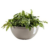 Ecopots Brussels Pflanzschale rund (Außenmaß (Ø x H): 35 x 16,7 cm, Kunststoff, Braungrau) | BAUHAUS