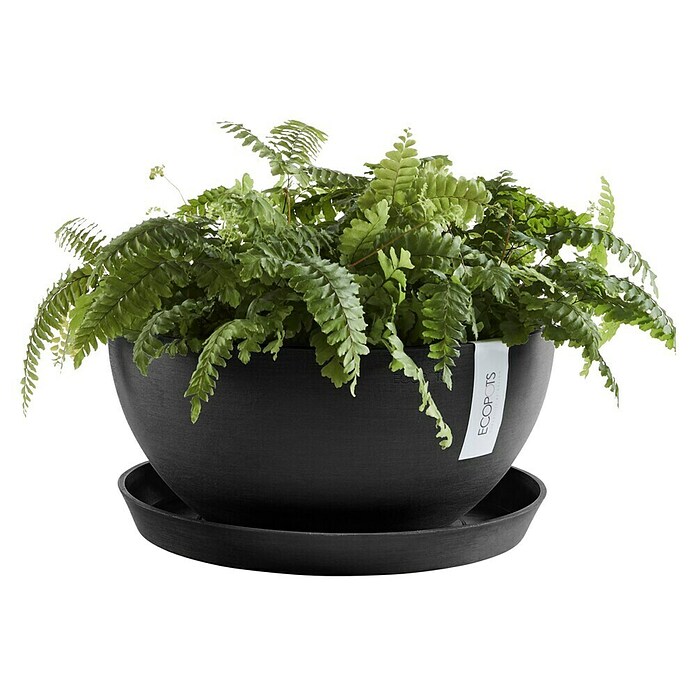 Ecopots Brussels Pflanzschale rund (Außenmaß (Ø x H): 35 x 16,7 cm, Kunststoff, Dunkelgrau) | BAUHAUS