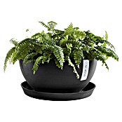 Ecopots Brussels Pflanzschale rund (Außenmaß (Ø x H): 35 x 16,7 cm, Kunststoff, Dunkelgrau) | BAUHAUS