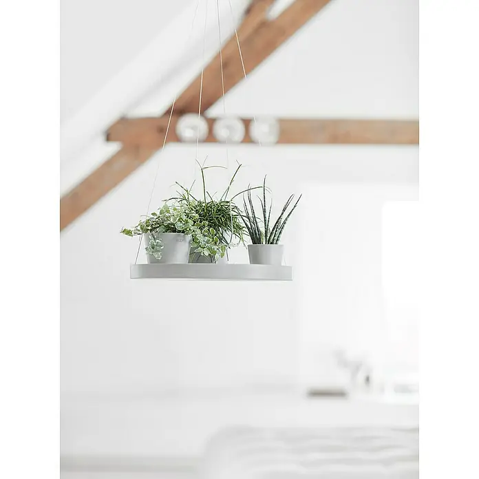 Ecopots Blumenampel - Außenmaß (Ø x H): 36 x 3 cm, Kunststoff, Weiß Grau - Hängepflanzenregal mit drei kleinen Topfpflanzen an dünnen Fäden befestigt, ein dekoratives Element für moderne Wohnräume.