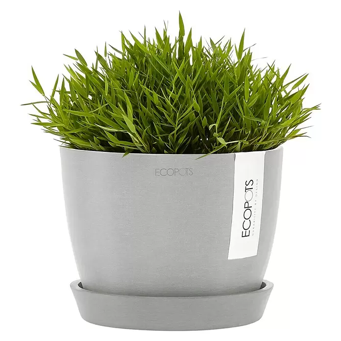 Ecopots Pflanztopf Stockholm - Außenmaß (Ø x H): 16,2 x 12 cm, Kunststoff, Weiß Grau - Grauer ECOPOTS Pflanzentopf mit Untersetzer, gefüllt mit grünen, grasähnlichen Pflanzen.