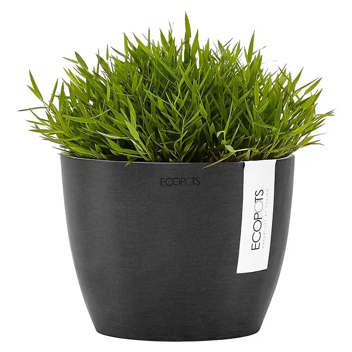 Ecopots Pflanztopf Stockholm - Außenmaß (Ø x H): 16,2 x 12 cm, Kunststoff, Dunkelgrau - Dunkelgrauer ECOPOTS Pflanztopf mit üppigem Grün.