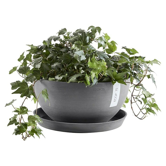 Ecopots Brussels Pflanzschale rund (Außenmaß (Ø x H): 35 x 16,7 cm, Kunststoff, Grau) | BAUHAUS