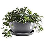 Ecopots Brussels Pflanzschale rund (Außenmaß (Ø x H): 35 x 16,7 cm, Kunststoff, Grau) | BAUHAUS