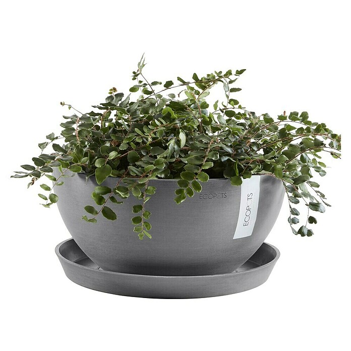 Ecopots Brussels Pflanzschale rund (Außenmaß (Ø x H): 35 x 16,7 cm, Kunststoff, Grau) | BAUHAUS