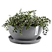 Ecopots Brussels Pflanzschale rund (Außenmaß (Ø x H): 35 x 16,7 cm, Kunststoff, Grau) | BAUHAUS