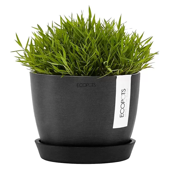 Ecopots Pflanztopf Stockholm - Außenmaß (Ø x H): 16,2 x 12 cm, Kunststoff, Dunkelgrau - Dunkelgrauer Pflanztopf mit Untersetzer und grünem Gras. Mit "Ecopots"-Etikett.