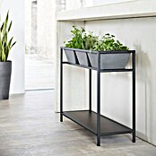 Ecopots Berlin Kräuterhochbeet (L x B x H: 101 x 36 x 80 cm, Grau) | BAUHAUS