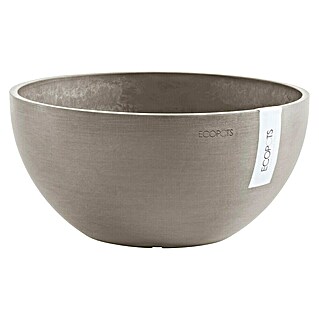 Ecopots Brussels Pflanzschale rund (Außenmaß (Ø x H): 35 x 16,7 cm, Kunststoff, Braungrau)
