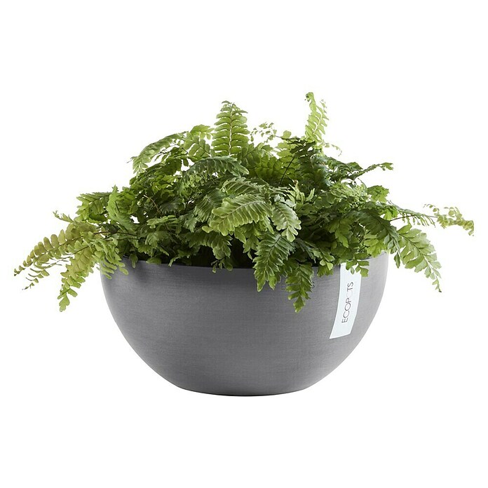 Ecopots Brussels Pflanzschale rund (Außenmaß (Ø x H): 35 x 16,7 cm, Kunststoff, Grau) | BAUHAUS