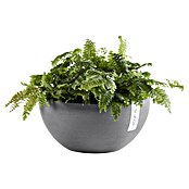 Ecopots Brussels Pflanzschale rund (Außenmaß (Ø x H): 35 x 16,7 cm, Kunststoff, Grau) | BAUHAUS