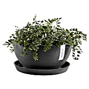 Ecopots Brussels Pflanzschale rund (Außenmaß (Ø x H): 35 x 16,7 cm, Kunststoff, Dunkelgrau) | BAUHAUS