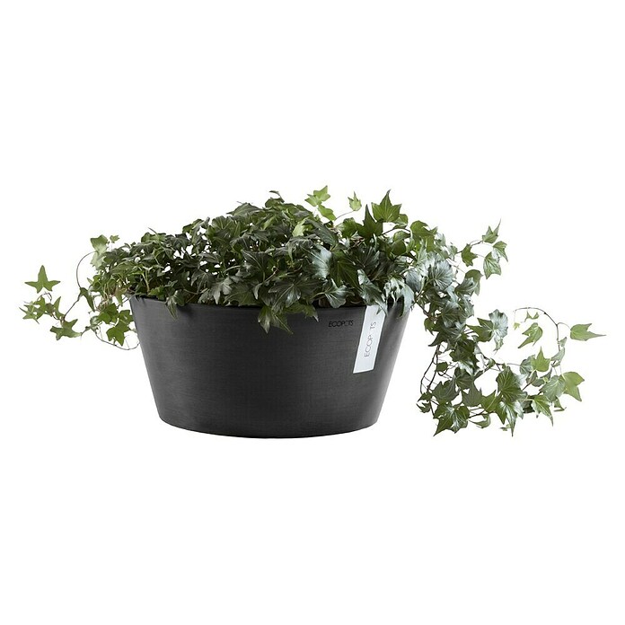 Ecopots Pflanzschale rund Frankfurt (Außenmaß (Ø x H): 50 x 25,7 cm, Kunststoff, Dunkelgrau) | BAUHAUS