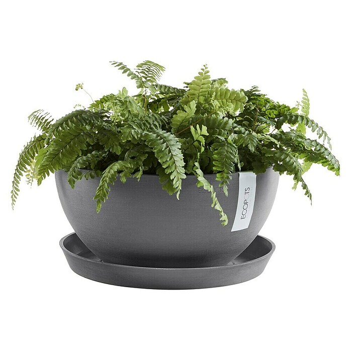 Ecopots Brussels Pflanzschale rund (Außenmaß (Ø x H): 35 x 16,7 cm, Kunststoff, Grau) | BAUHAUS