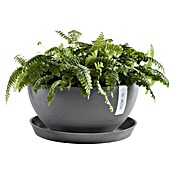 Ecopots Brussels Pflanzschale rund (Außenmaß (Ø x H): 35 x 16,7 cm, Kunststoff, Grau) | BAUHAUS