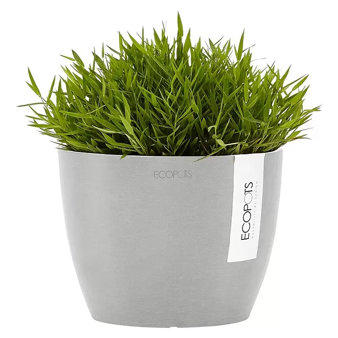 Ecopots Pflanztopf Stockholm - Außenmaß (Ø x H): 16,2 x 12 cm, Kunststoff, Weiß Grau - Grauer ECOPOTS Pflanztopf mit leuchtend grünem Gras, mit ECOPOTS Etikett an der Seite.